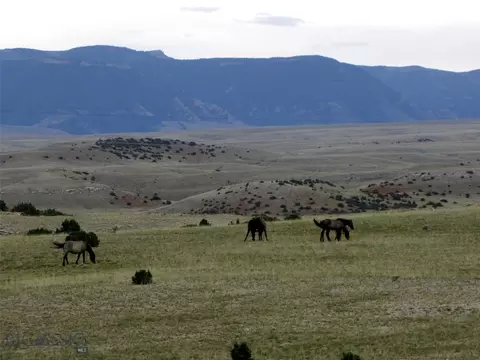 tbd Deadman Creek Rd, Bridger, MT 59014 photo 49