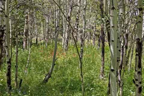Other - 140 Elk Ridge Rd, Cameron, MT 59720 photo 9 of 23