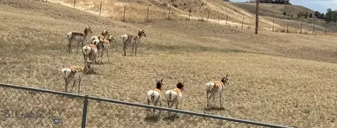Other - 240 Fox Ridge Dr, Dillon, MT 59725 photo 7 of 8