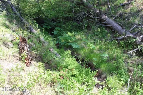 6 Pine Coulee, Cascade, MT 59421 photo 58