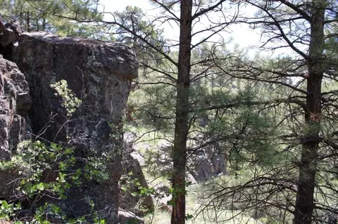 6 Pine Coulee, Cascade, MT 59421 photo 30
