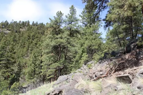 6 Pine Coulee, Cascade, MT 59421 photo 37