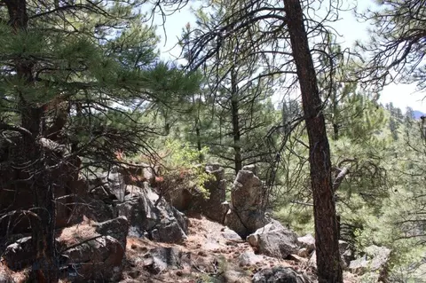 6 Pine Coulee, Cascade, MT 59421 photo 15