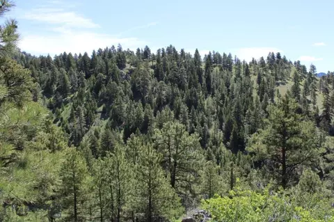 6 Pine Coulee, Cascade, MT 59421 photo 20