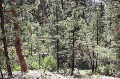 6 Pine Coulee, Cascade, MT 59421 photo 38