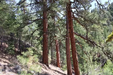 6 Pine Coulee, Cascade, MT 59421 photo 39