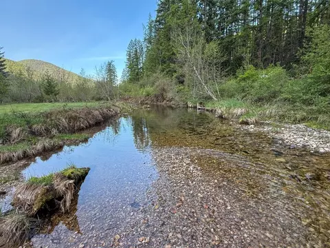 168 Hope Valley Rd, Trout Creek, MT 59874
