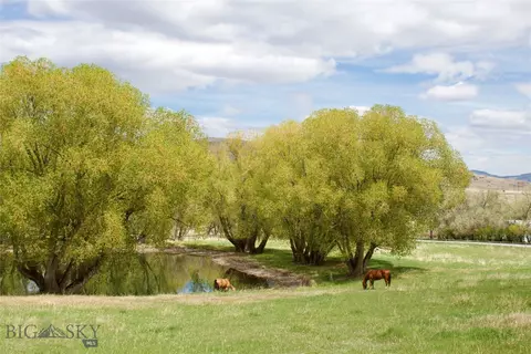 Other - Undisclosed, Whitehall, MT 59759 photo 3 of 19