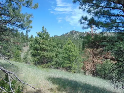 19 Lookout Ln, Cascade, MT 59421 photo 11