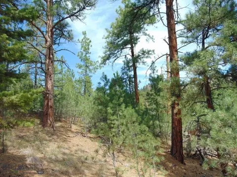 19 Lookout Ln, Cascade, MT 59421 photo 22