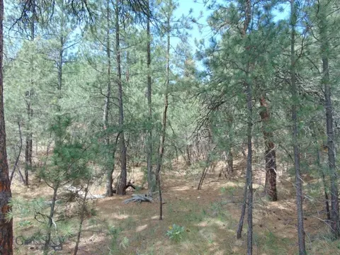 19 Lookout Ln, Cascade, MT 59421 photo 25