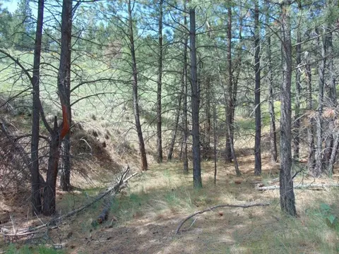19 Lookout Ln, Cascade, MT 59421 photo 24
