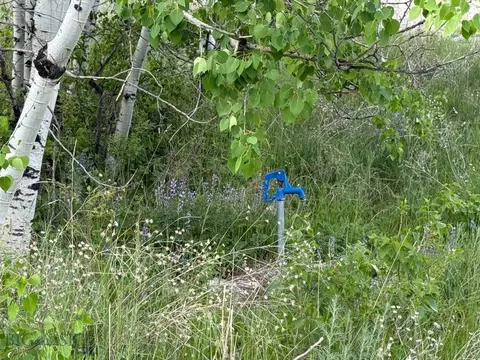 Other - 11 Upper Greyson Creek Rd, Townsend, MT 59644 photo 11 of 17