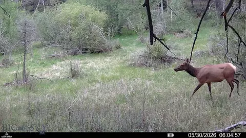 tbd Powerline Rd, Boulder, MT 59632 photo 3