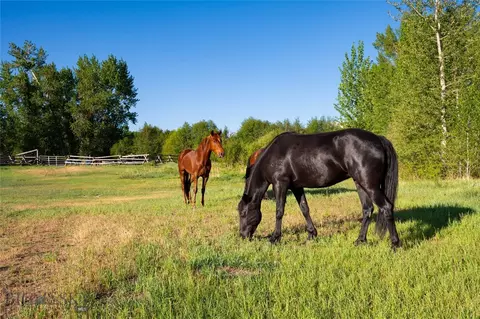 Other - 200 Pony Rd, Harrison, MT 59735 photo 25 of 42