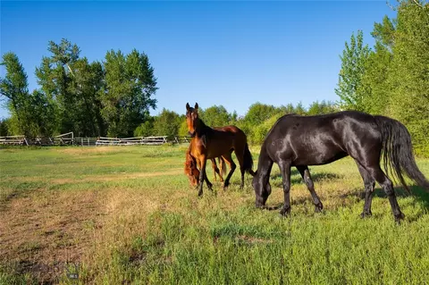 Other - 200 Pony Rd, Harrison, MT 59735 photo 26 of 42