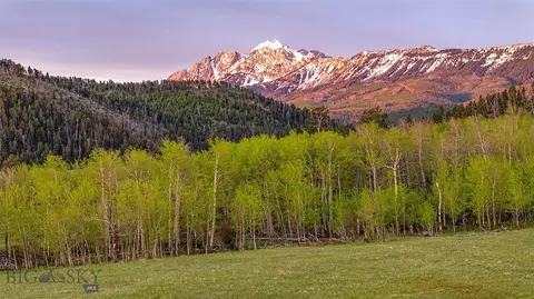 tbd Petterson Rd, Wilsall, MT 59086