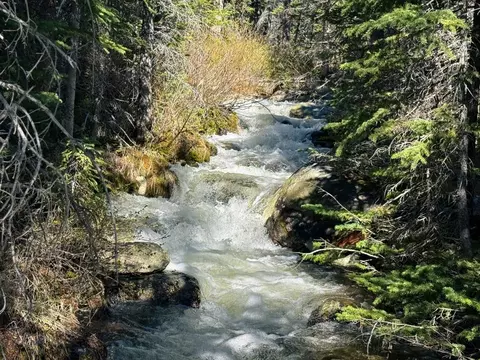 970 Lower Clear Creek Trl, Anaconda, MT 59711