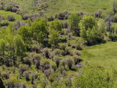 Other - 1607 Shields River Rd, Wilsall, MT 59086 photo 15 of 20