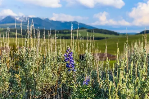 Other - 1607 Shields River Rd, Wilsall, MT 59086 photo 4 of 20
