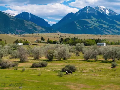 25 Emigrant Meadows Rd, Emigrant, MT 59065 photo 15