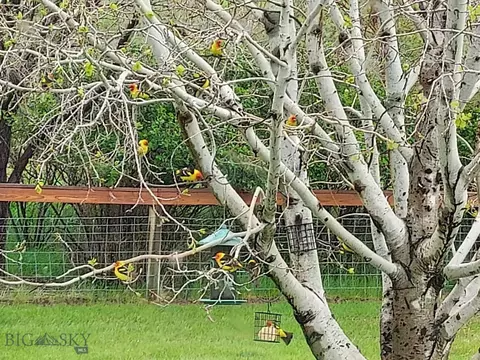 25 Emigrant Meadows Rd, Emigrant, MT 59065 photo 35
