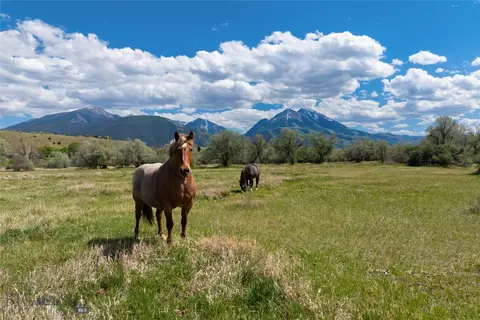 25 Emigrant Meadows Rd, Emigrant, MT 59065 photo 9