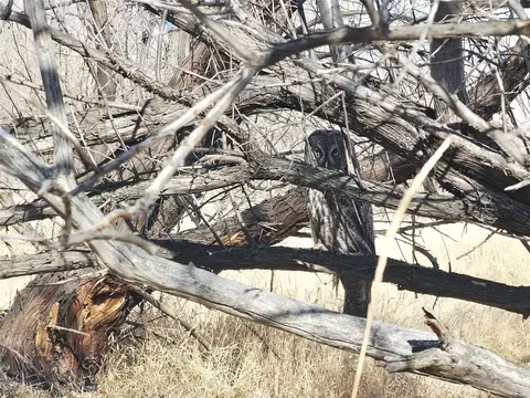 25 Emigrant Meadows Rd, Emigrant, MT 59065 photo 32