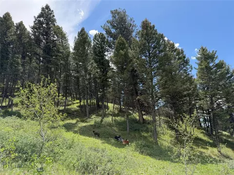 Parcel 2 & 4a Continental Divide Rd, Cameron, MT 59720 photo 16