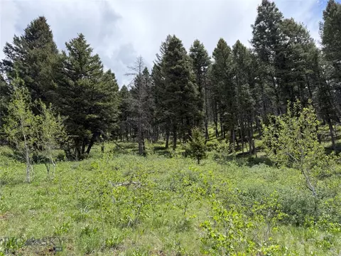 Parcel 2 & 4a Continental Divide Rd, Cameron, MT 59720 photo 15