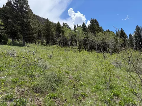 Parcel 2 & 4a Continental Divide Rd, Cameron, MT 59720 photo 12