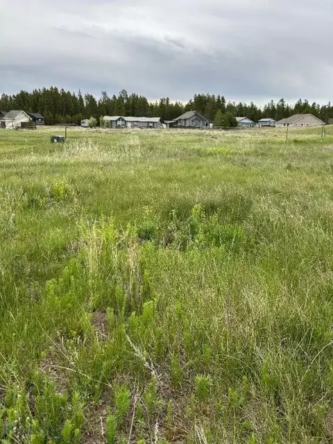 tbd Buffalo Dr, West Yellowstone, MT 59758