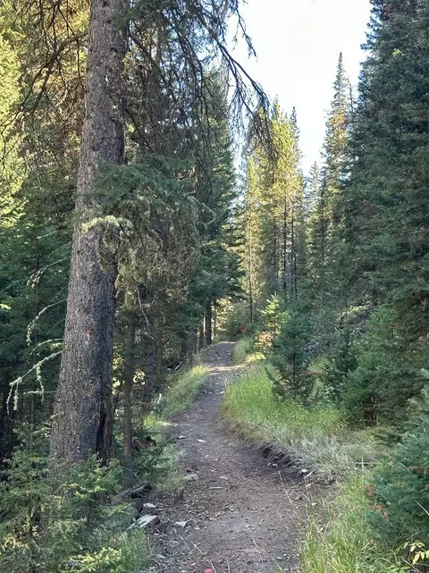 Other - 34 Old Barn Rd, Big Sky, MT 59716 photo 18 of 21