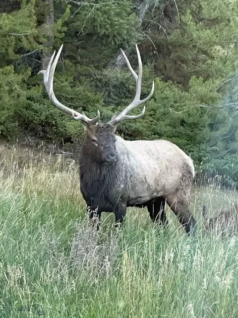 Other - 34 Old Barn Rd, Big Sky, MT 59716 photo 21 of 21