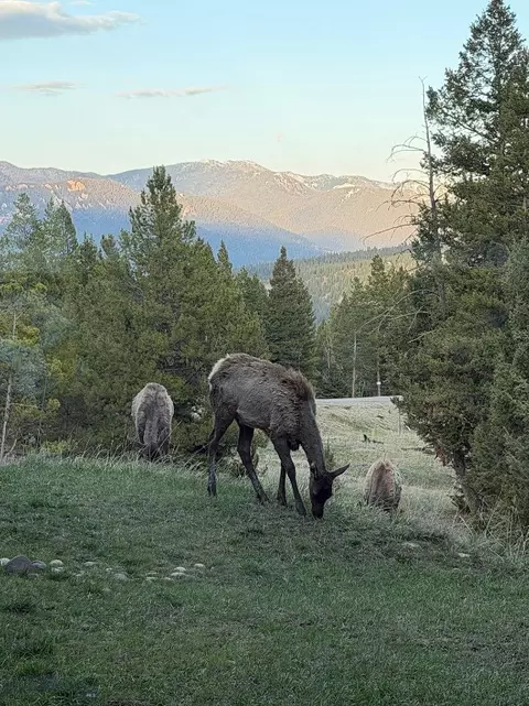 Other - 34 Old Barn Rd, Big Sky, MT 59716 photo 20 of 21