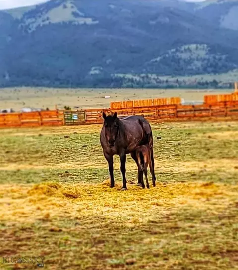 Other - Undisclosed, Boulder, MT 59632 photo 26 of 40