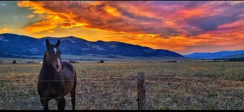 Other - Undisclosed, Boulder, MT 59632 photo 21 of 40