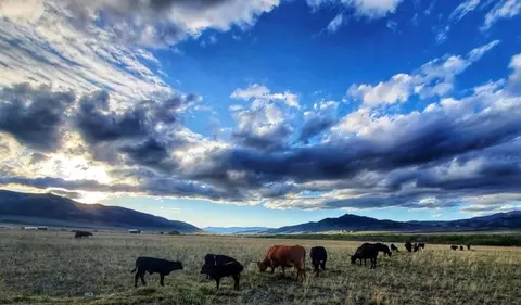 Other - Undisclosed, Boulder, MT 59632 photo 28 of 40