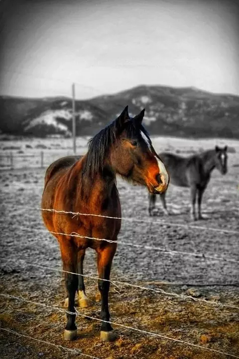 Other - Undisclosed, Boulder, MT 59632 photo 24 of 40