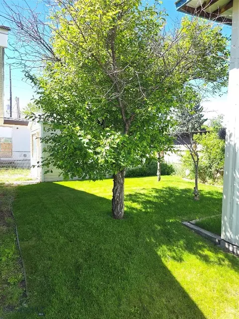 Exterior - 331 N Walnut St, Dillon, MT 59725 photo 2 of 7