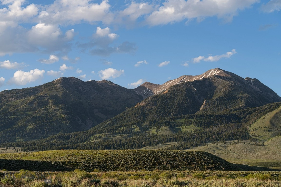 tbd Madison River Rnch, Cameron, MT 59720 photo 9