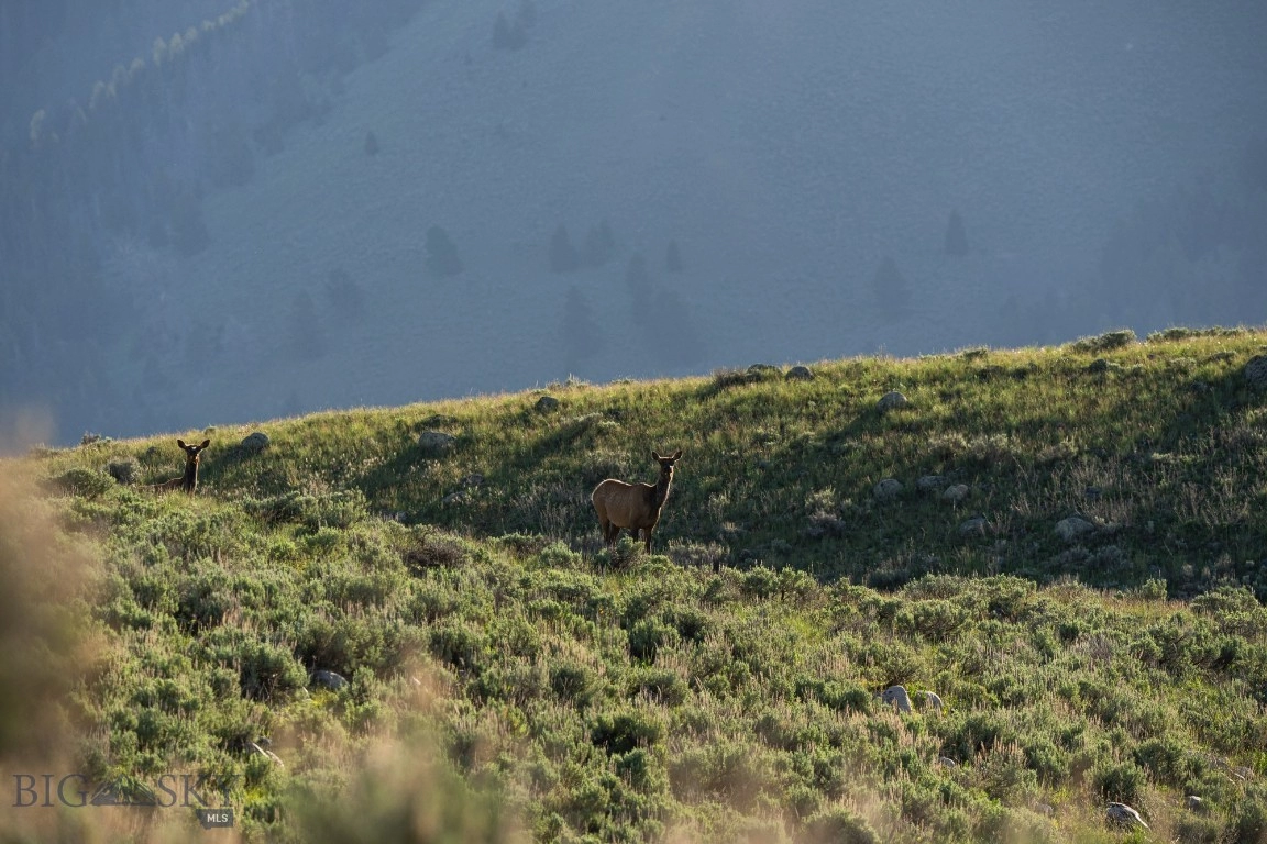 tbd Madison River Rnch, Cameron, MT 59720 photo 22