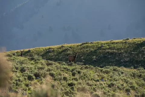 tbd Madison River Rnch, Cameron, MT 59720 photo 22