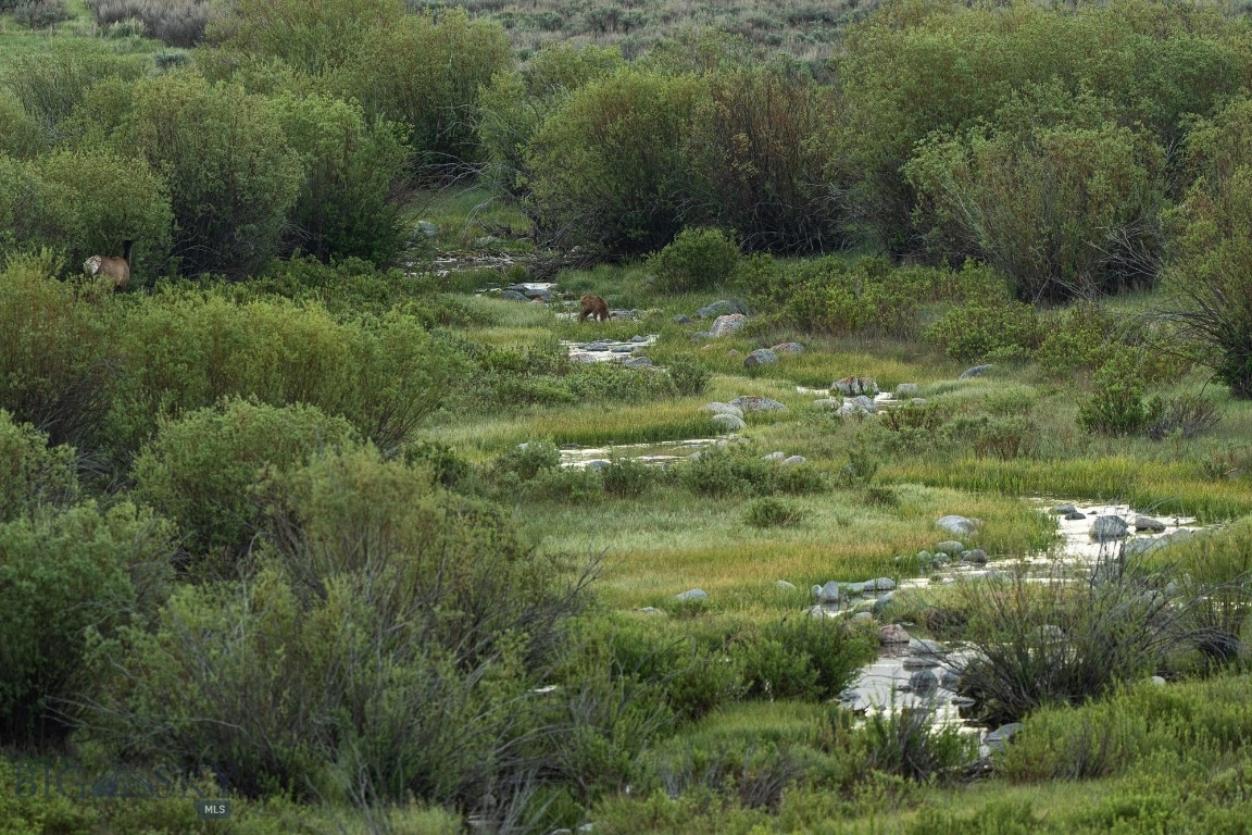 tbd Madison River Rnch, Cameron, MT 59720 photo 11