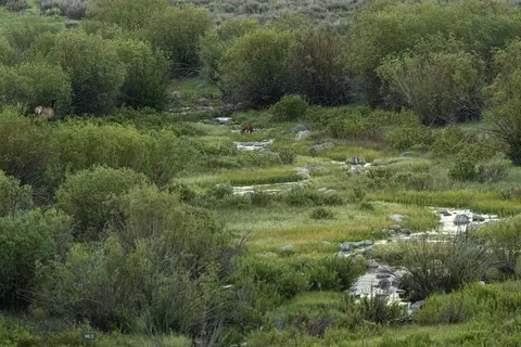 tbd Madison River Rnch, Cameron, MT 59720 photo 11