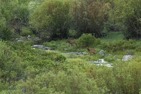 tbd Madison River Rnch, Cameron, MT 59720 photo 12