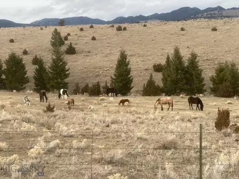 49 Cedar Crst, Whitehall, MT 59759 photo 17