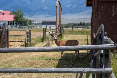 Undisclosed, Ennis, MT 59729 photo 54