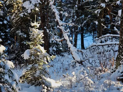tbd Macks Rd, Big Sky, MT 59716 photo 16