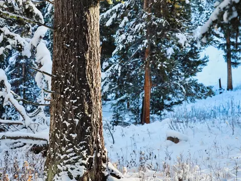 tbd Macks Rd, Big Sky, MT 59716 photo 17